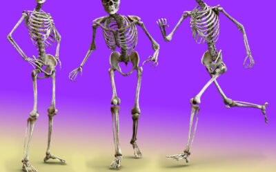 Sabes cuantos huesos tiene el cuerpo humano.