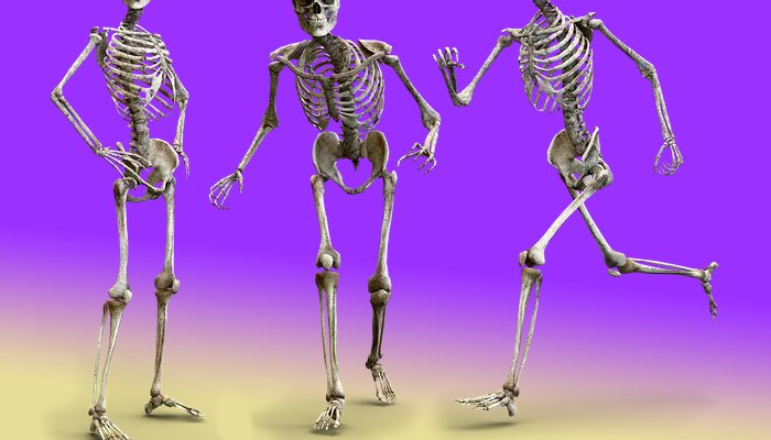 Sabes cuantos huesos tiene el cuerpo humano.